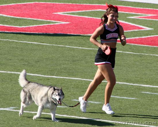 IMG_5170 Huskies!