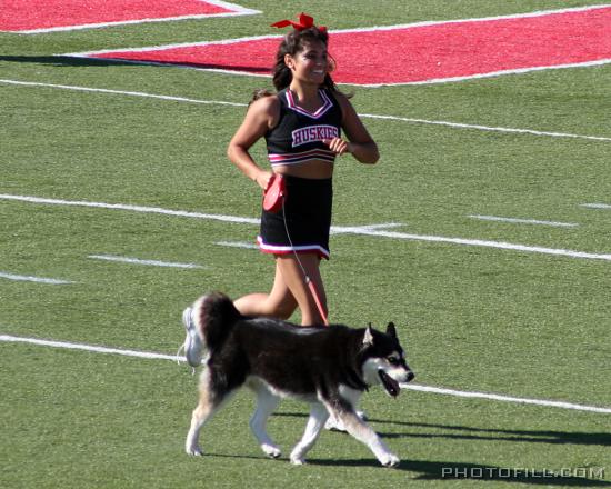 IMG_5173 Huskies!