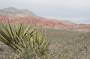 1337-022-Red-Rock-Canyon4