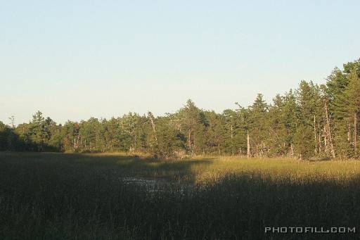 IMG_4046 Low lying area off Peterson road