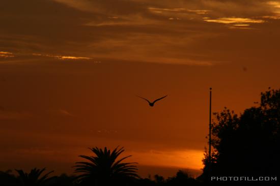 IMG_9243 Sunset off Malibu Pier, CA