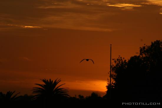 IMG_9244 Sunset off Malibu Pier, CA