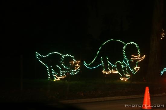 IMG_9305 Light Festival on Crystal Springs Drive, CA