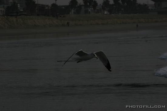 IMG_9532 Venice Beach