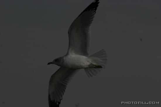 IMG_9537 Venice Beach