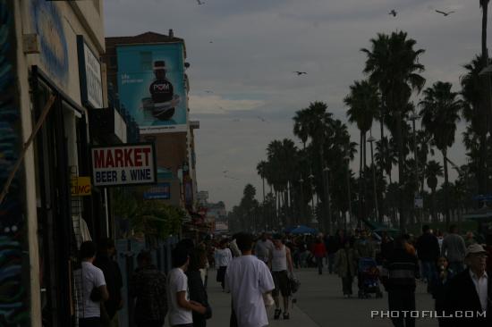 IMG_9572 Venice Beach