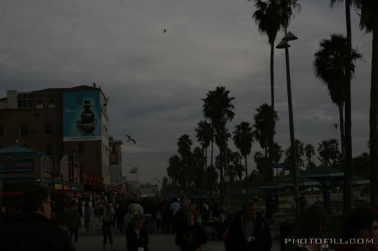 IMG_9576 Venice Beach