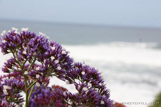 IMG_09631 La Jolla Beach