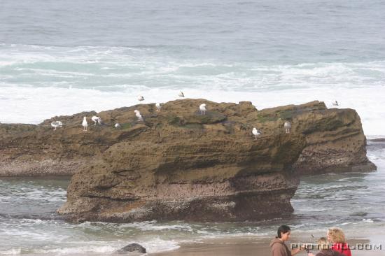 IMG_09663 La Jolla Beach