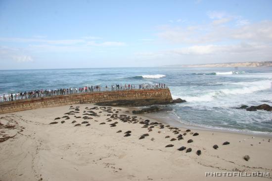 IMG_09744 La Jolla Beach