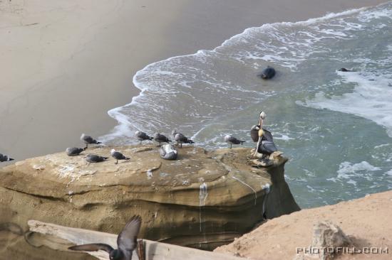 IMG_09750 La Jolla Beach