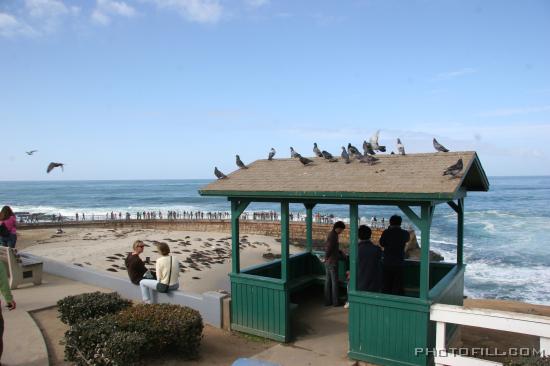 IMG_09771 La Jolla Beach