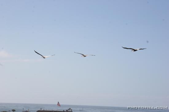 IMG_09778 La Jolla Beach