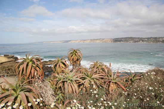 IMG_09829 La Jolla Beach