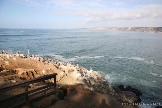 IMG_09876 La Jolla Beach