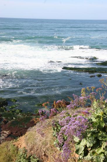 IMG_09965 La Jolla Beach