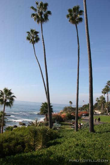 IMG_0152 Laguna beach