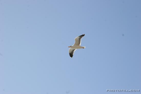 IMG_0162 Laguna beach