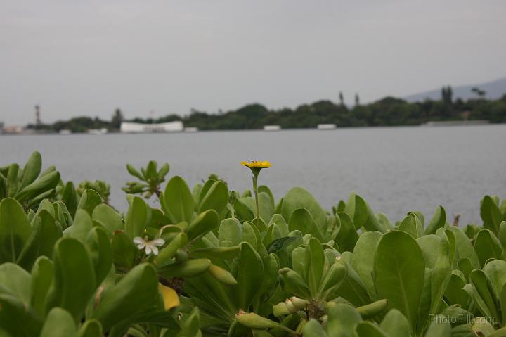 0112-Hawaii2008.jpg - Pearl Harbor