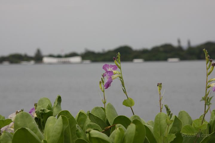 0116-Hawaii2008.jpg - Pearl Harbor