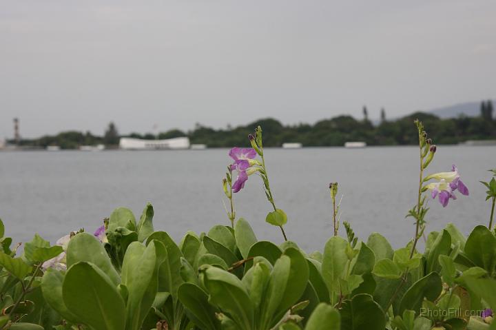 0117-Hawaii2008.jpg - Pearl Harbor