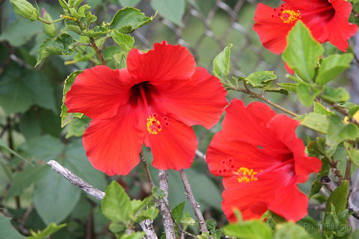 0212-Hawaii2008.jpg - Pearl Harbor