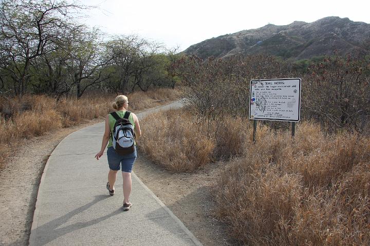 0224-Hawaii2008.jpg - Diamond Head