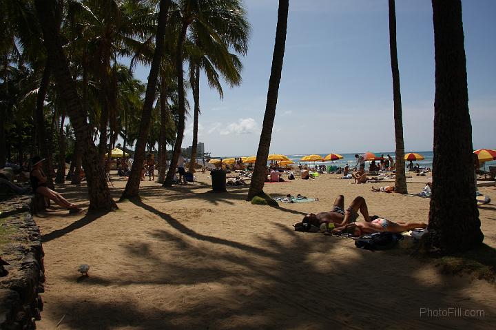 0322-Hawaii2008.jpg - Waikiki Beach