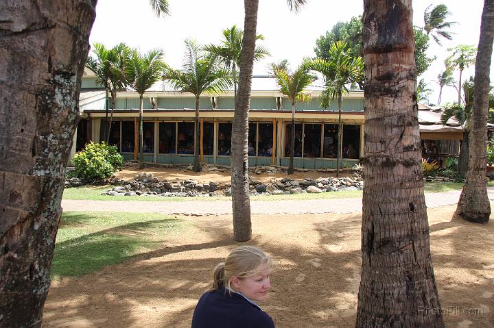 0530-Hawaii2008.jpg - Mama's Fish House