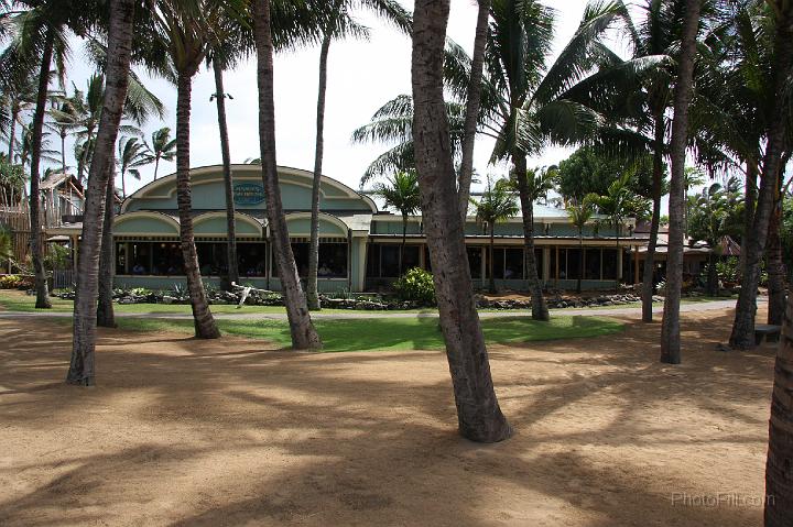 0541-Hawaii2008.jpg - Mama's Fish House