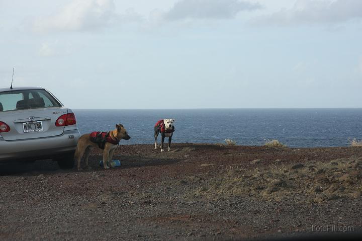 0711-Hawaii2008.jpg - The "Illegal" Road to Lahaina