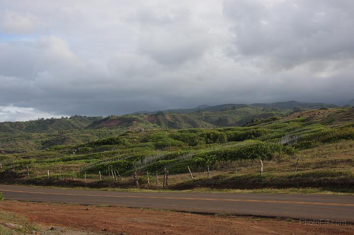 0735-Hawaii2008.jpg - The "Illegal" Road to Lahaina