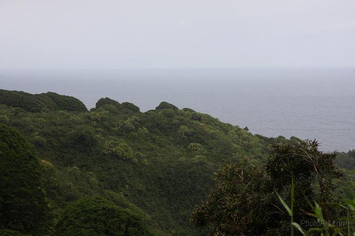 0830-Hawaii2008.jpg - Road to Hana