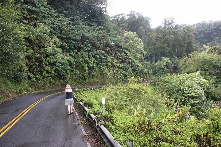 0834-Hawaii2008.jpg - Road to Hana