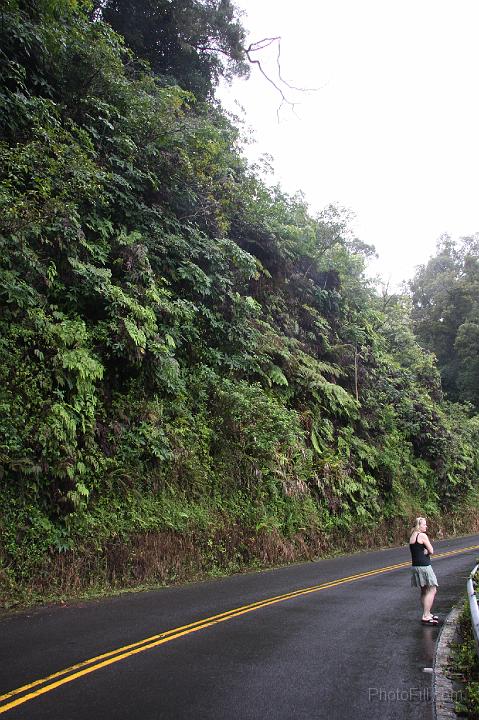 0835-Hawaii2008.jpg - Road to Hana