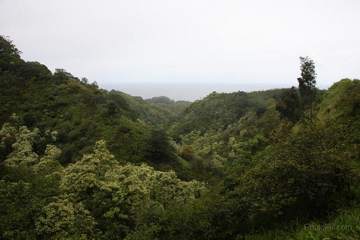 0836-Hawaii2008.jpg - Road to Hana