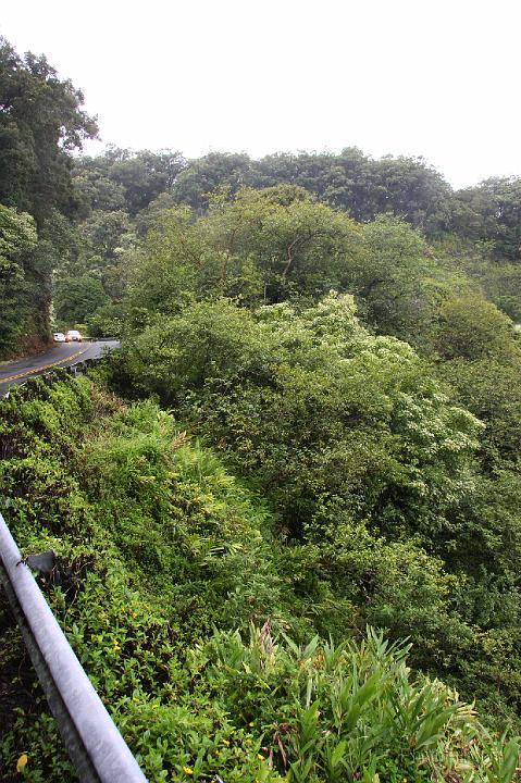 0838-Hawaii2008.jpg - Road to Hana