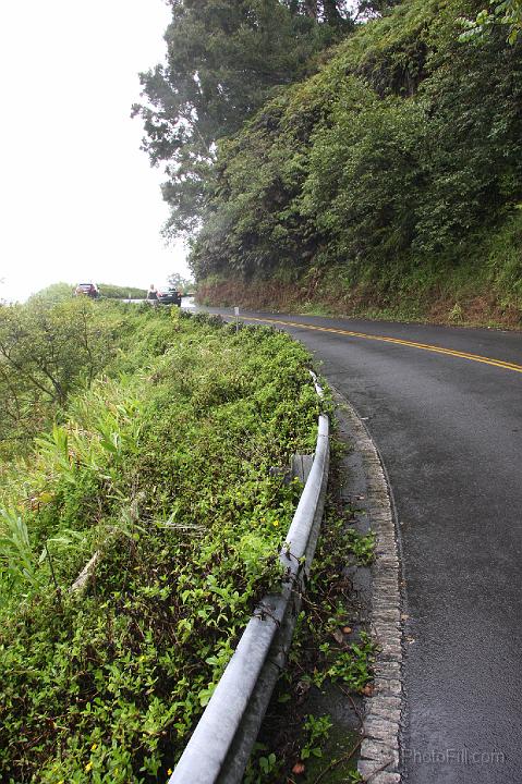 0839-Hawaii2008.jpg - Road to Hana