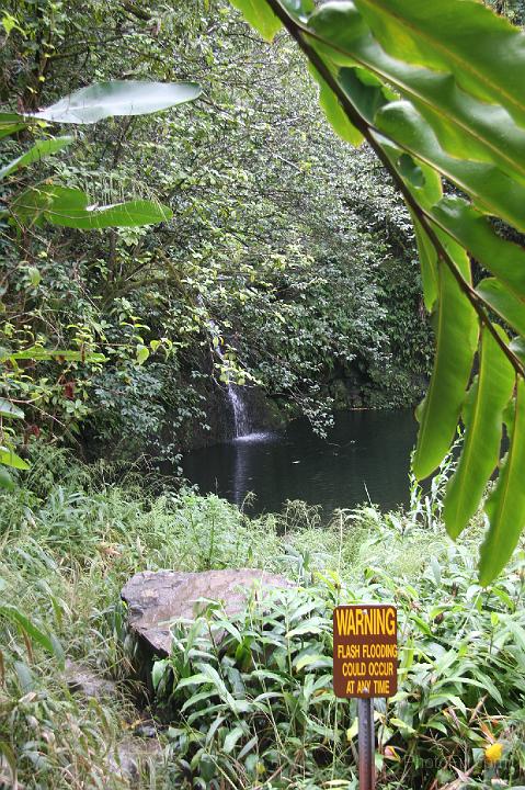 0844-Hawaii2008.jpg - Road to Hana