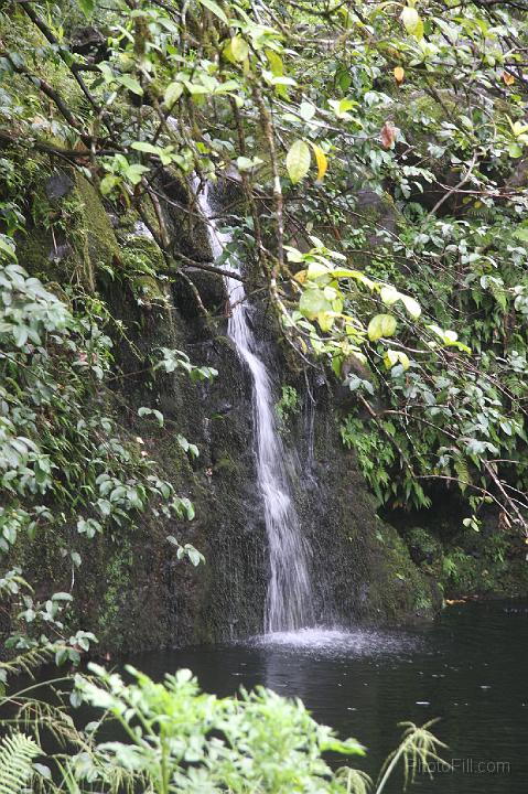 0849-Hawaii2008.jpg - Road to Hana