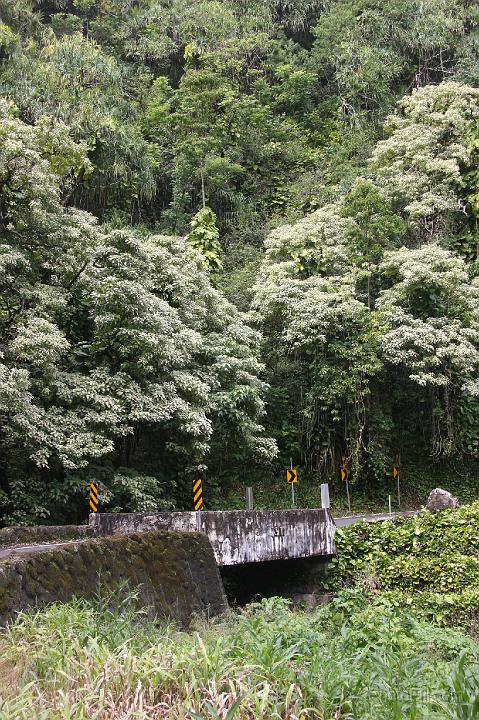 0853-Hawaii2008.jpg - Road to Hana