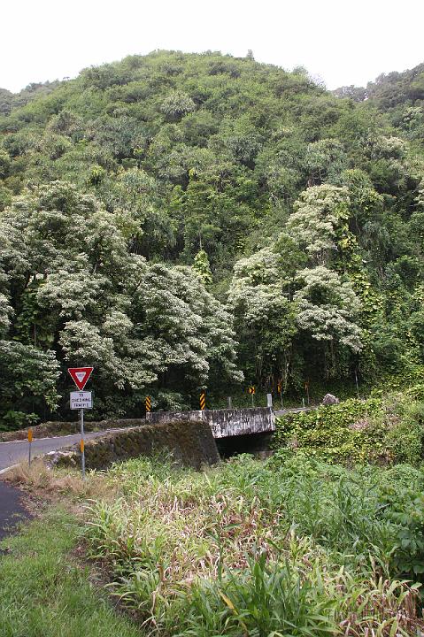 0854-Hawaii2008.jpg - Road to Hana