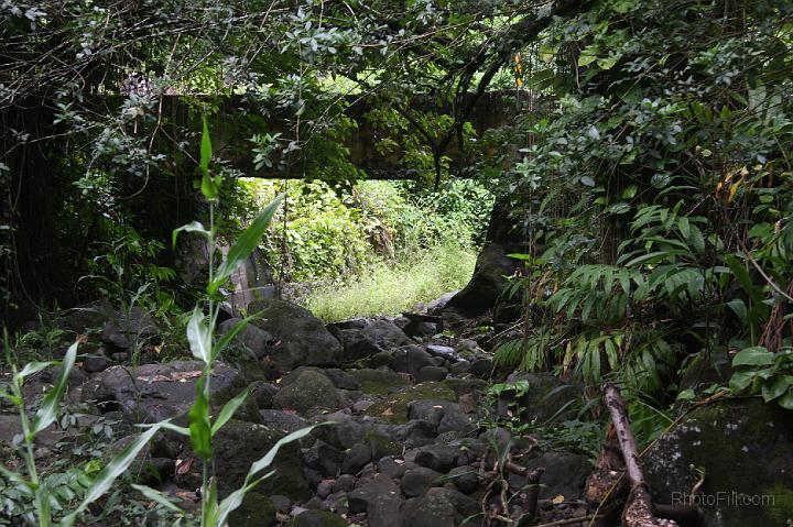 0859-Hawaii2008.jpg - Road to Hana