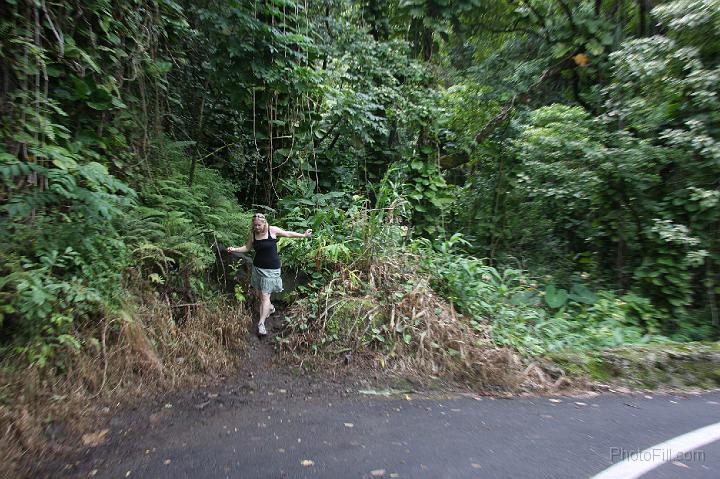 0862-Hawaii2008.jpg - Road to Hana