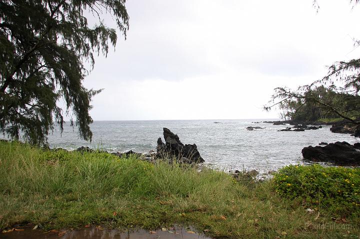 0863-Hawaii2008.jpg - Road to Hana