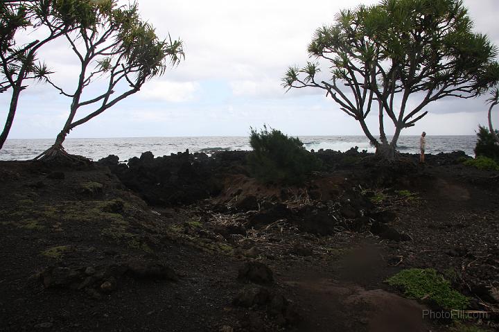 0869-Hawaii2008.jpg - Road to Hana