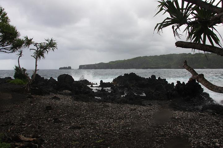 0870-Hawaii2008.jpg - Road to Hana