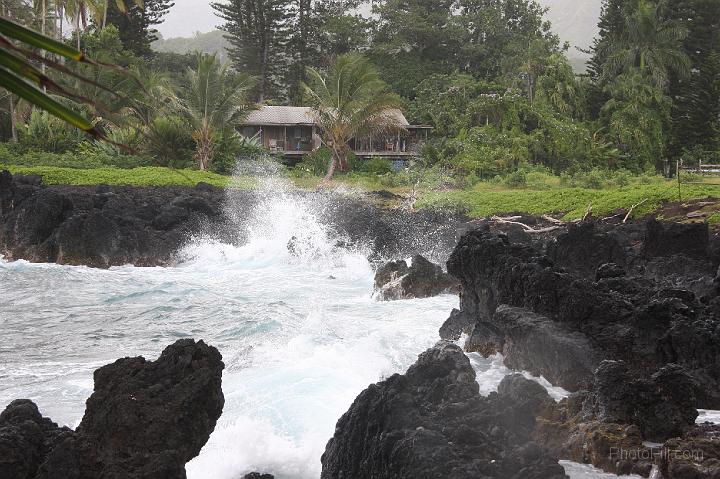 0875-Hawaii2008.jpg - Road to Hana