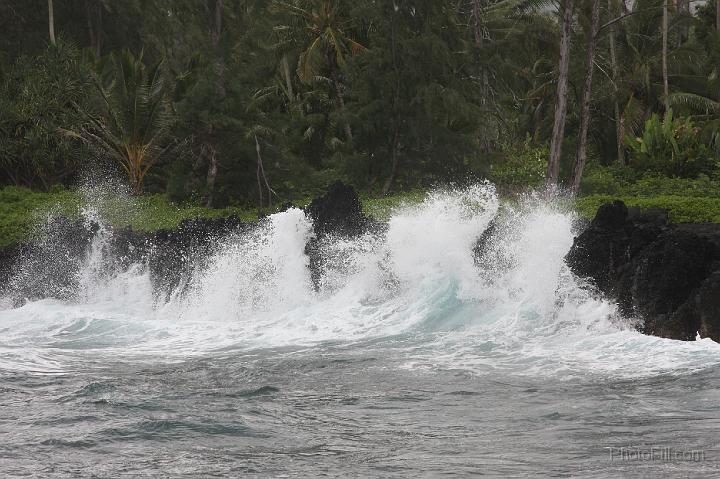 0882-Hawaii2008.jpg - Road to Hana