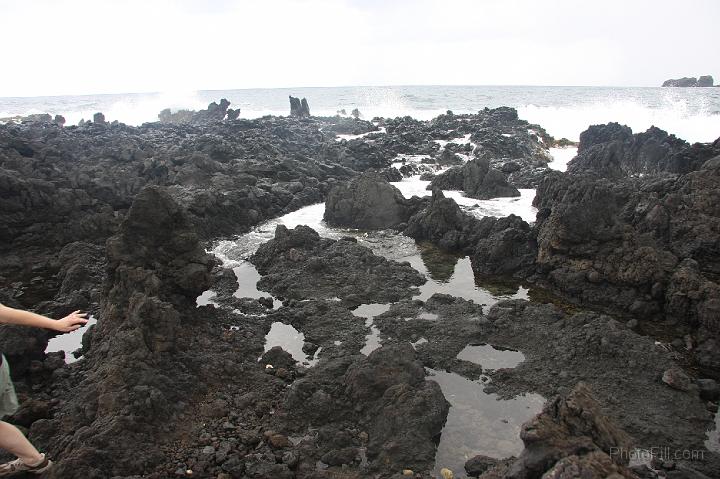 0893-Hawaii2008.jpg - Road to Hana